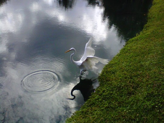 Remembering Bataan and Corregidor